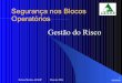Gestão do Risco - deconidi.ie · Helena Martins-AESOP Maio de 2006 06-08-06 3 Processo de Gestão do Risco Identificação do Risco Prevenção do Risco Redução do Risco