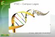 IFSC Campus Lages · Apenas uma das fitas é utilizada como molde para a síntese do RNA ... ocorre na cavidade maior do DNA, ... fazem parte do processamento do RNA