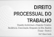 DIREITO PROCESSUAL DO TRABALHO · 2017-12-05 · DIREITO PROCESSUAL DO TRABALHO Dissídio Individual e Dissídio Coletivo Audiência. Conciliação. Resposta do Réu. Razões Finais