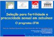 Seleção para fertilidade e precocidade sexual em zebuínos©Bento.pdf · Como se obtém a DEP para PP14 ? Novilhas expostas ao touro aos 14 meses Informação obtida diretamente