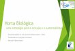 Horta Biológica – uma estratégia para educar a ... · Fazendo planos para a Horta biológica Há vários anos integrando o projeto Eco-Escolas, em 2014/2015 toma-se a decisão