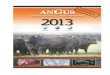 Asociación Argentina de Angus - WordPress.com · sabem que as DEP dos mesmos touros em diferentes Programas de Avaliação Nacional de gado de corte não podem ser comparadas devido