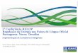 5ª Conferência RELOP Regulação da Energia nos Países de ... Souza e Silva_KEMA... · r 5ª Conferência RELOP Regulação da Energia nos Países de Língua Oficial Portuguesa: