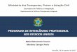 PROGRAMA DE INTERCÂMBIO PROFISSIONAL NOS …portaldaestrategia.transportes.gov.br/images/Ciclo de Apresentacoes... · Departamento de Política e Planejamento Integrado Programa