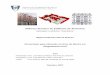Reforço Sísmico de Edifícios de Alvenaria - Autenticação · PDF fileReforço Sísmico de Edifícios de Alvenaria Aplicação a edifícios “Gaioleiros” Miguel Eduardo Moura
