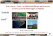 Workshop – Oportunidades de Desenvolvimento e Inovação ...portaldamineracao.com.br/wp-content/uploads/2017/06/00005999.pdf · Evolução da Produção Mineral Brasileira (PMB)