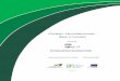 Cooperação Empresarial-Manual Cooperaçãov1 - apigraf.pt · A principal motivação de suporte ao desenvolvimento de actividades de cooperação das empresas gráficas e transformadoras