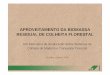 APROVEITAMENTO DA BIOMASSA RESIDUAL DE COLHEITA … · RESIDUAL DE COLHEITA FLORESTAL XIV Seminário de Atualização Sobre Sistemas de ... • remoção de nutrientes ... galhos