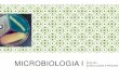 MICROBIOLOGIA I - fea.br Veterinaria/Cristina/aula1... · 1- O QUE É A MICROBIOLOGIA? a ciência que estuda os microrganismos – organismos microscópicos - que podem ser encontrados