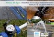 Perdas de Água: Desafios ao Avanço do Saneamento Básico e ...az545403.vo.msecnd.net/uploads/2015/06/edison-carlos.pdf · perdas na distribuição (físicas e aparentes). Consumo