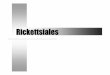 Rickettsiales - FMUPusers.med.up.pt/cc04-10/microslides/16-rickettsias.pdf · Rickettsieaeae Pleomórficas, muito pequenas, bacilos ou coco-bacilos Não coram bem pelo Gram; Giemsa,