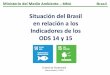 Situación del Brasil en relación a los Indicadores de ... · Indicadores de los ODS 14 y 15 ... estoques de peixes dentro níveis biologicamente sustentáveis. Para el Brasil el