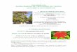 Actividades do Jardim Botânico da Universidade de … Botânico da Universidade de Coimbra OUTUBRO E NOVEMBRO 09 1. TEMAS PERMANENTES: Visitas guiadas/Visita-atelier /Peddy-paper
