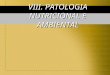 [PPT]PATOLOGIA NUTRICIONAL E AMBIENTAL - … · Web viewVIII. PATOLOGIA NUTRICIONAL E AMBIENTAL RESPOSTA A SUBSTÂNCIAS EXÓGENAS A resposta a substâncias exógenas pode variar devido