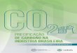 Precificação de Carbono na Indústria Brasileiracebds.no-ip.org/Dados/PublicaçõesCEBDS/Estudo_Precificação... · aprimorem seus processos de gestão de riscos financeiros relacionados