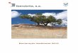 Declaração Ambiental 2012 - Produtora de Agregadosiberobrita.com/documentos/declaracao_ambiental_2012.pdf · diariamente lutamos na melhoria contínua do seu desempenho, de acordo