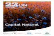 Capital Natural - p22on.com.br · Mudança do clima e escassez hídrica são as principais motivações para a inclusão de ... a vegetação natural que oferta água limpa, a polinização