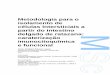 Metodologia para o isolamento de células Intersticiais a ... · PDF fileBona, Alemanha Participação: Apresentação de poster. IV FCUP Metodologia para o isolamento de células
