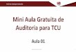 Mini Aula Gratuita de Auditoria para TCU - 3dconcursos.com.br · Mini Aula Gratuita de Auditoria para TCU Aula 01 1. Prof. Me. Rodrigo Fontenelle ... Esses princípios estão em linha