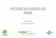 POTENCIALIDADES DO PARÁ - greenrio.com.br · •Em 2000 a convite da natura para participar da cadeia de suprimentos da linha EKOS •Estruturou sua ação junto às comunidades