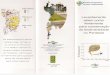 ainfo.cnptia.embrapa.brainfo.cnptia.embrapa.br/digital/bitstream/CPAP/56687/1/FOL01.pdf · do Pantanal, informação fundamental para qualquer ... Ano Em&a Pantanal . ... de 3.900.000
