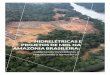 Os dados e opiniões expressos nesse relatório são de totalidesam.org/publicacao/hidreletricas-mdl-amazonia-brasileira.pdf · Eletrobras foi sentenciado a mais de quarenta anos
