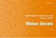 Relatório de Situação Minas Gerais - Biblioteca Virtual em Saúde …bvsms.saude.gov.br/bvs/publicacoes/caderno_mg_2007.pdf · em espanhol: sistema nacional de Vigilancia en salud: