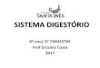 Sistema Digestório - Colégio Santa Inês · SISTEMA DIGESTÓRIO 8º ano/ 2º TRIMESTRE Prof Graziela Costa 2017