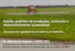 Saúde, padrões de produção, consumo e desenvolvimento ...cebes.org.br/site/wp-content/uploads/2014/07/Ap-Pignati-RIO+20... · parte deste foi parar na carne, vísceras e gordura