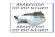 PAL VOL I 07 APARECIDA DO RIO NEGRO - gesto.to.gov.br · 55 Condições de vida • Aspectos educacionais A razão mais comum para que os estudantes abandonem as escolas antes de