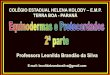 Professora Leonilda Brandão da Silva · •Os cordados possuem um sistema nervoso dorsal e oco, formado a partir do tubo neural, originado do ectoderma do ... Circulação 6. Excreção