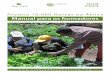 Projeto 10.000 Hortas na áfrica Manual para os formadoresslowfoodbrasil.com/documentos/hortas-slowfood_manual.pdf · ... que fazem parte do ... algumas considerações sobre os factores