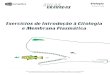 aktstycke.s3. Estruturas Centriobs Cit Membrana citoplasmhtica Parede celular Ptastos Legend a: