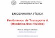 ENGENHARIA FÍSICA Fenômenos de Transporte A (Mecânica ...sistemas.eel.usp.br/docentes/arquivos/5022779/LOM3212/AULA 6 - FT... · Seja um sistema de massa m e velocidade v; 