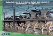 Autores - avant.grupont.com.br · na Agropecuária Palma onde trabalhou com produção leiteira, manejo reprodutivo de bovinos e equinos. A segunda etapa do estágio supervisionado