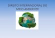 DIREITO INTERNACIONAL DO MEIO AMBIENTE - … · proteção do meio ambiente e o desenvolvimento. - Convenção-Quadro sobre Mudança do Clima; - Convenção-Quadro sobre a Diversidade