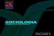 CE CEEJA EM Sociologia V3 book - Educação de Jovens e ... Sociologia : caderno do estudante. ... No entanto, como a internet é ... – Mundo do Trabalho para os Centros Estaduais