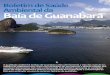 Boletim de Saúde Ambiental da Baía de Guanabara · milhões de habitantes que vivem nos municípios do seu entorno e demais cidades que ... O presente Boletim fornece uma avaliação