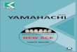 DENTES DE RESINA ACRÍLICA NEW ACE - Kota · 5 Formas de dentes anteriores superiores. ... Os dentes New Ace são produzidos por meio de uma adição de propriedades de alta resistência