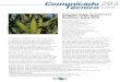 Recomendação de Cultivares de Milho no Nordeste Brasileiro ...ainfo.cnptia.embrapa.br/digital/bitstream/item/171880/1/COT-203... · Brasileiro: Safra 2015 ... planta (m), altura