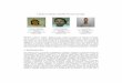 Lâmina cerâmica. Desafios de uma inovação revisão 300112 31_2012.pdf · fixação de uma rede de fibra de vidro. A fixação deste material de reforço é realizada por aplicação