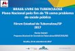 BRASIL LIVRE DA TUBERCULOSE Plano Nacional pelo fim da … · BRASIL LIVRE DA TUBERCULOSE Plano Nacional pelo fim da TB como problema de saúde pública ... 2000 a 2015 2016 a 2030