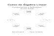 Curso de Algebra Linear´ - labMA/UFRJ · Linear Algebra, em licença Creative ... O livro possui cerca de 230 exemplos resolvidos. ... a visão moderna de uma matriz por blocos ,