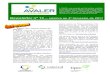 newsletter AVALER 13 - lipor.pt AVALER 13.pdf · 10% de biocombustíveis nos transportes em 2020, como previsto na Directiva sobre energias renováveis. ... na realização de um