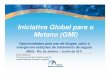 Iniciativa Global para o Metano (GMI) · Falta de informação sobre e capacitação em tecnologias ... O crescimento industrial nos países em ... Grandes bombas de água 
