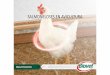 SALMONELOSES EN AVICULTURA - APPEP | Bienvenidos · SALMONELOSES EN AVICULTURA Recente recolhimento de ovos comerciais nos EUA Mais de 500 mi de ovos ... FRANGOS POEDEIRAS Ambiente