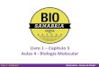Livro 1 Capítulo 3 Aulas 4 - Biologia Molecular · Livro 1 –Capítulo 2 BioSanabria –Grupos de Estudo D A DNA: 4 tipos RNA: 4 tipos D G D C D T R A R G R C R U Ácidos nucleicos