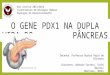 O GENE PDX1 NA DUPLA VIDA DO P‚ gene PDX1 na dupla...  PPT file  Web view2014-06-28  ‰ um