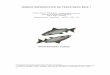 MANEJO REPRODUTIVO DA TRUTA ARCO-ÍRIS* · A truta arco-íris (Oncorhynchus mykiss) é um peixe da família do salmão, originária do oeste da América do Norte. Foi introduzida