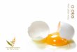 O ovo é um alimento nutricionalmente rico, tendo por isso ... · Fonte: Yang F, Ma M, Xu J, ... ( ... o 1 Folha de louro o 1 Raminho de salsa picada